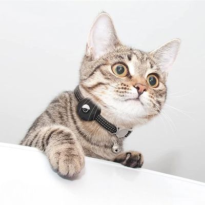 Collier Airtag Chat - CatAirTagCollar™ - Noir