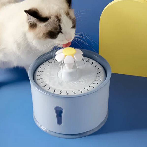 Fontaine à Eau pour Chat - CatLEDFountain™ - Bleu Clair