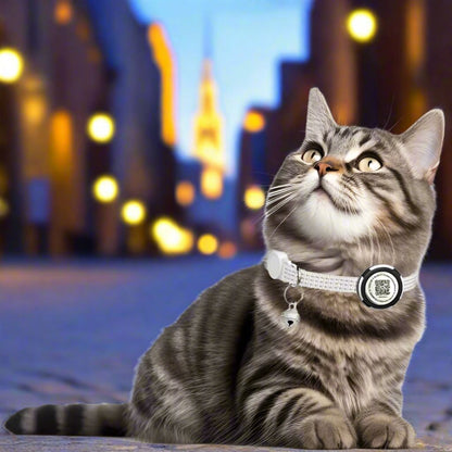 Collier airtag chat	- CatCollarTracker™ - Blanc