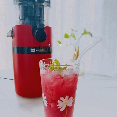 Presse-Agrumes - ColdPressJuicer™ - Rouge