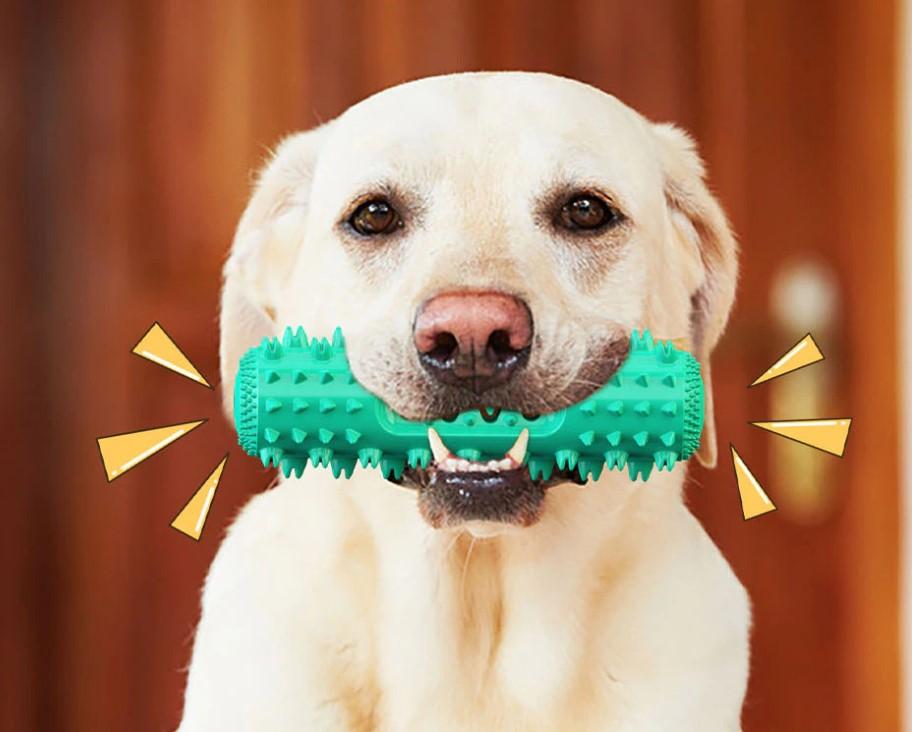 DentalDog™ brosse à dents molaire pour chien