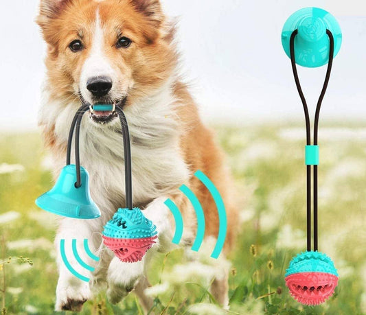 CupToy™ Jouet à ventouse pour chien | Chien