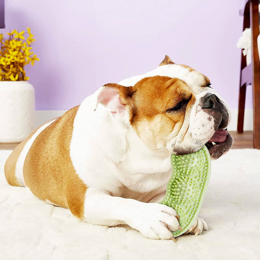 TeethingPuppy™ jouets de dentition pour chien | Chien