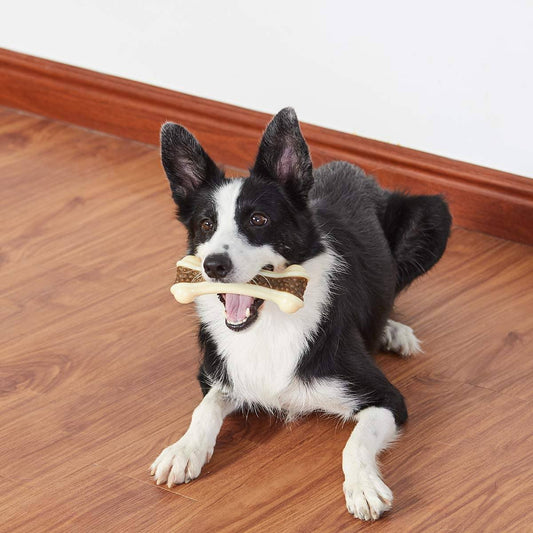 MolarDog™ Jouets en forme d'os pour chien | Chien