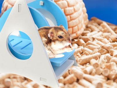 Swing-Relax™/hamsters