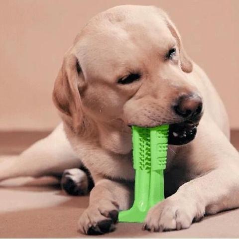 DentalDog™ brosse à dents molaire pour chien