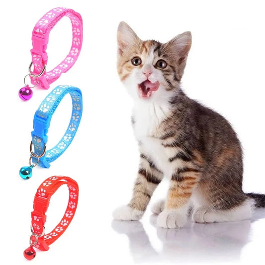 collierantipuce™ chat gâtée 