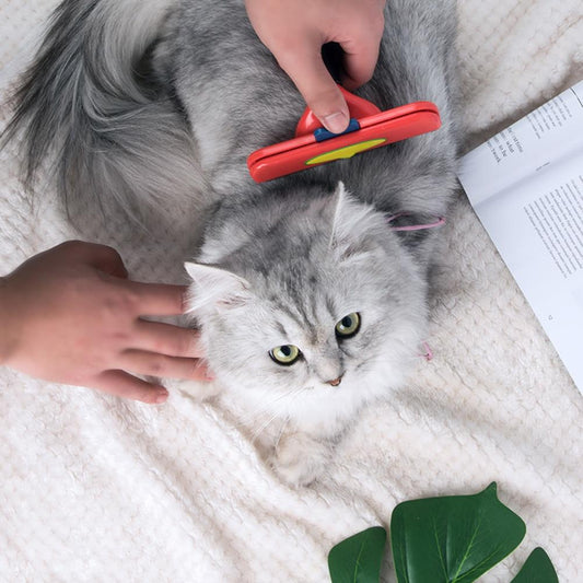 CatBrush™ Pet Hair Removal Brush 