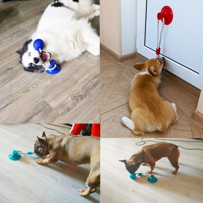 CatchMe™ - Best ball pet toy