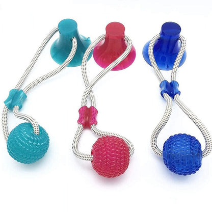 CatchMe™ - Best ball pet toy