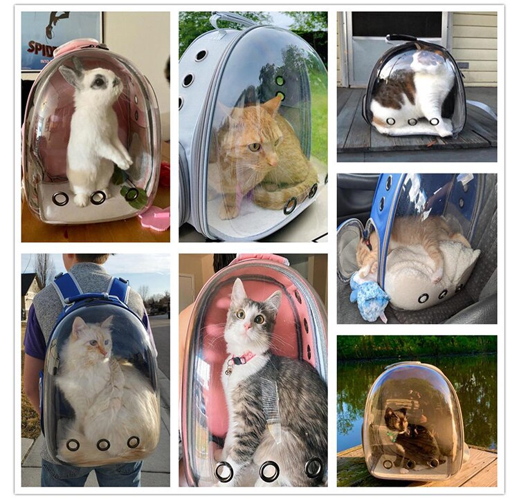 KittenHome™ - Pet carrying bag ventilated