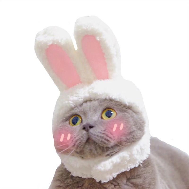 RabbitHat™ -  Accessoire de déguisement pour chat