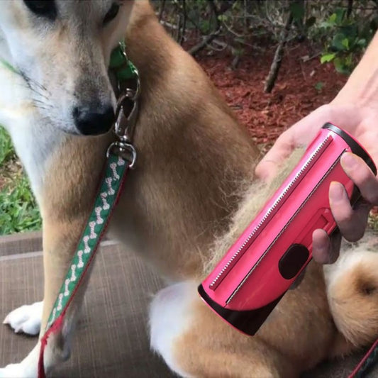 Magicpeine™ démêleur de poils pour chien