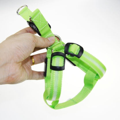 LedHarness™ Harnais pour chien LED | Chien
