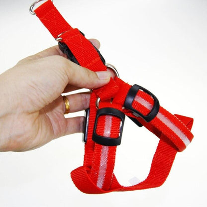 LedHarness™ Harnais pour chien LED | Chien