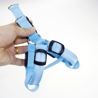 LedHarness™ Harnais pour chien LED | Chien