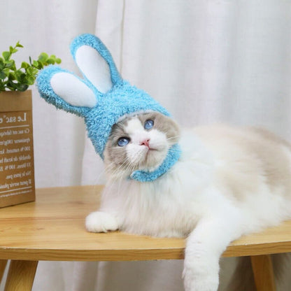 BeanieCute™ - Rabbit Cap for cat