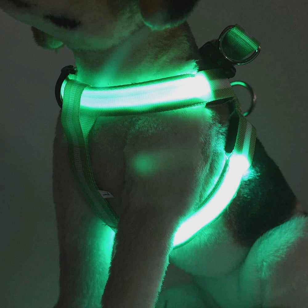 LedHarness™ Harnais pour chien LED | Chien