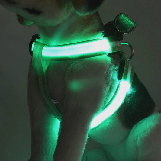 LedHarness™ Harnais pour chien LED | Chien