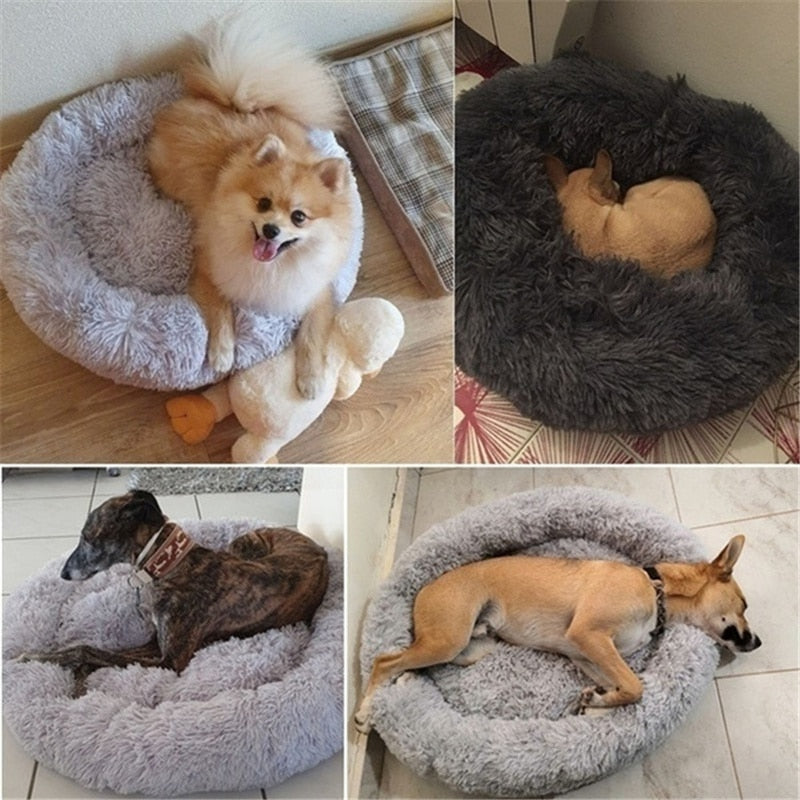DoggyPouf™- Coussin doux pour chien