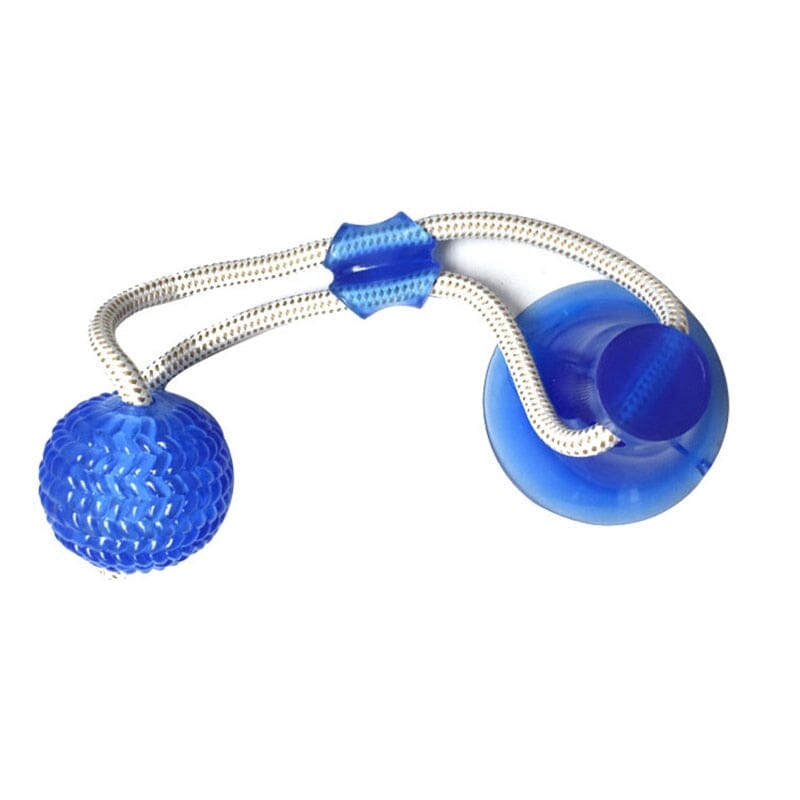 CatchMe™ - Best ball pet toy