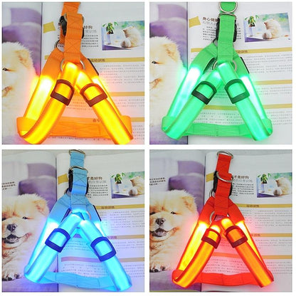 LedHarness™ Harnais pour chien LED | Chien