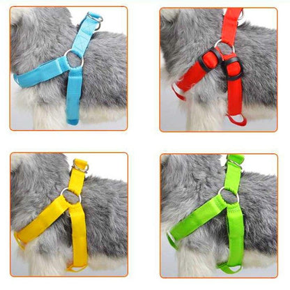 LedHarness™ Harnais pour chien LED | Chien