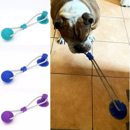 CatchMe™ - Best ball pet toy