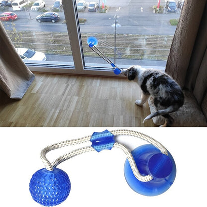 CatchMe™ - Best ball pet toy