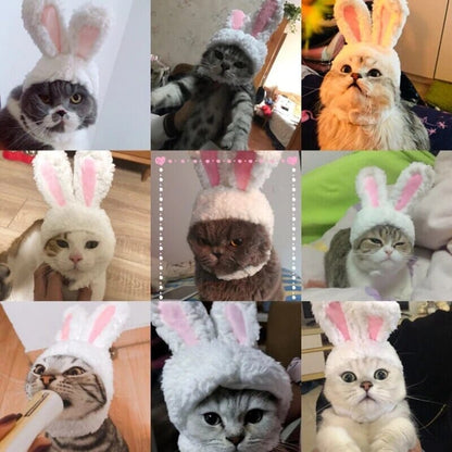 BeanieCute™ - Rabbit Cap for cat