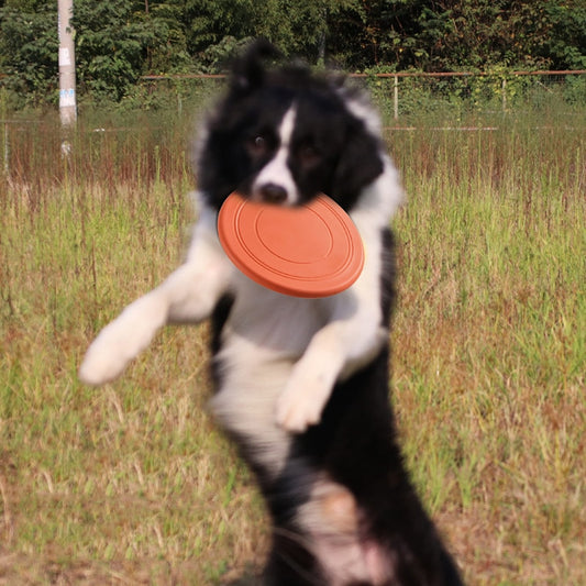 FlyingDisc™ disque volant pour animal de compagnie | Chien