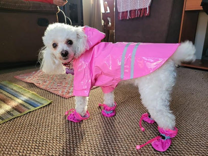 JacketDog™ Manteau de pluie imperméable pour chien | Chien