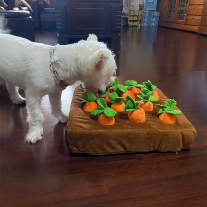 PetToy™ Jouet en peluche pour chien | Chien