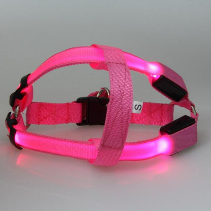 LedHarness™ Harnais pour chien LED | Chien