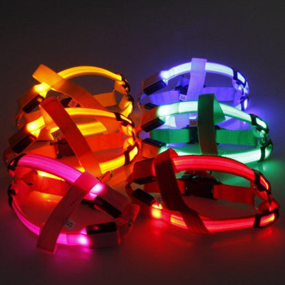 LedHarness™ Harnais pour chien LED | Chien