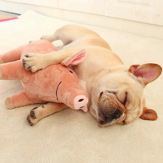 PlushPig™ Jouets de couchage pour chien en peluche | Chien