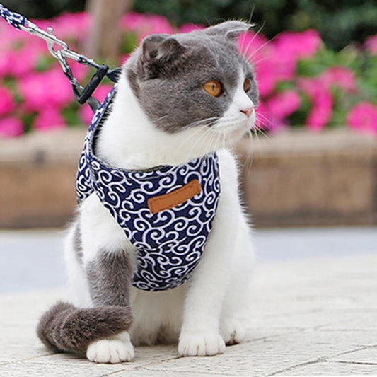 EasyWalk™ | Harnais pour Chat