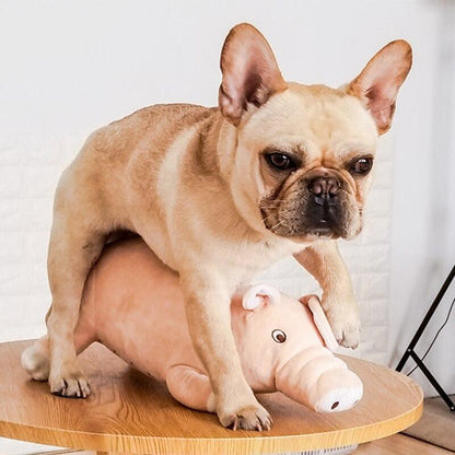 PlushPig™ Jouets de couchage pour chien en peluche | Chien