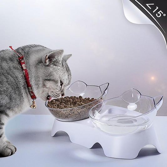 SantéChat® | Bol Incliné pour bien être animal | Chat