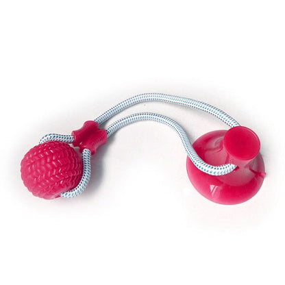 CatchMe™ - Best ball pet toy