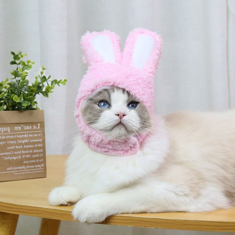BeanieCute™ - Rabbit Cap for cat