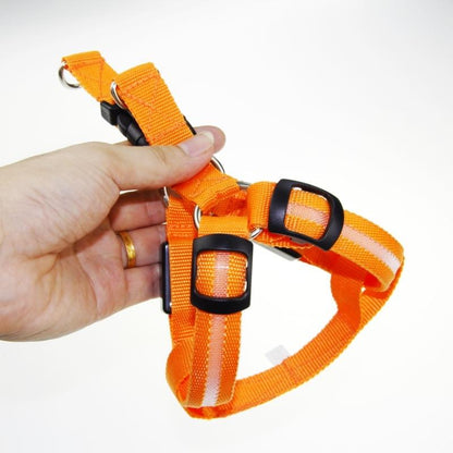 LedHarness™ Harnais pour chien LED | Chien