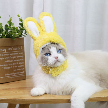 BeanieCute™ - Rabbit Cap for cat