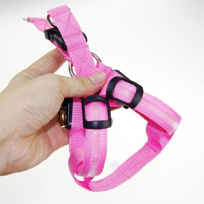 LedHarness™ Harnais pour chien LED | Chien