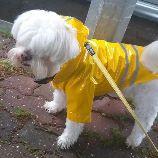 JacketDog™ Manteau de pluie imperméable pour chien | Chien