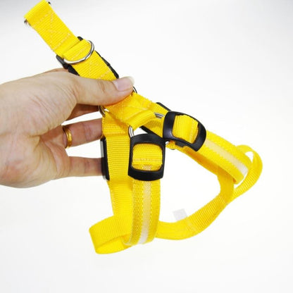 LedHarness™ Harnais pour chien LED | Chien