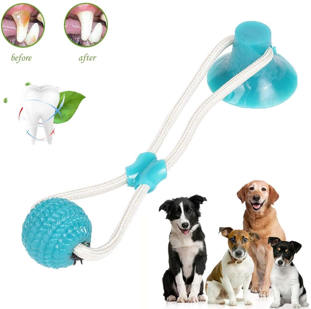 CatchMe™ - Best ball pet toy
