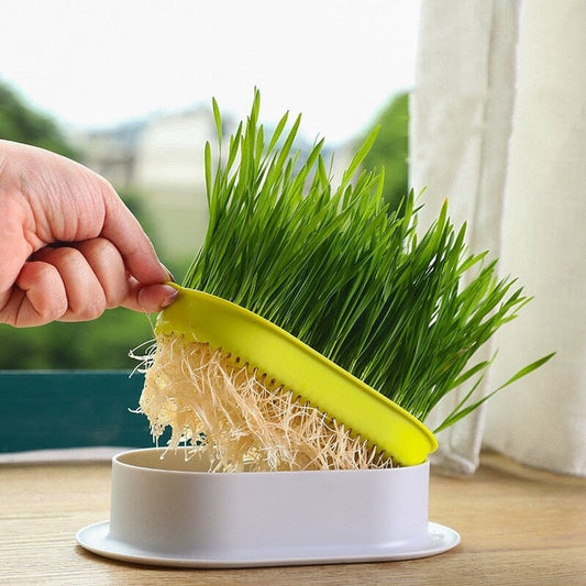 HydroPot™ - Cat New Pot Hydroponics