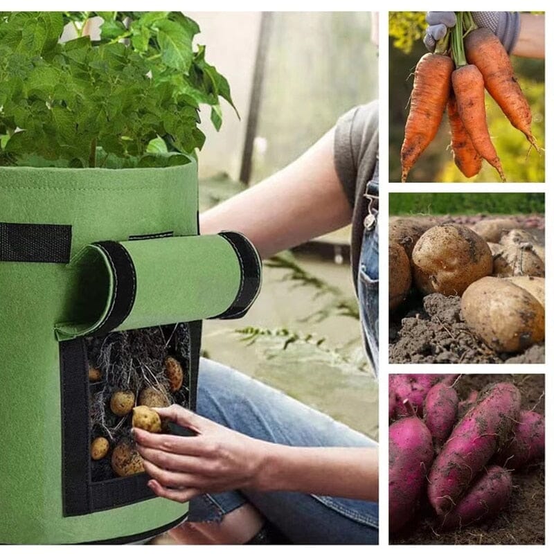 OrganiBag™ - Organic grow bags