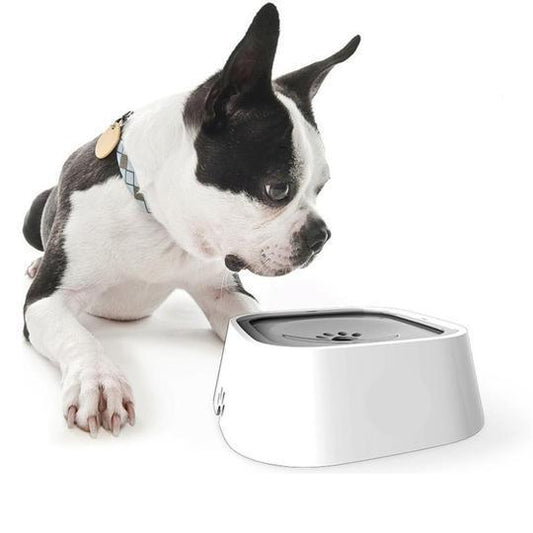 WaterBowl™  | Bol pour chien | CHIEN
